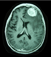 Stacks Image 18